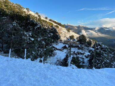 Previsioni Meteo Neve Crollo Delle Temperature Fino A Gradi Ecco