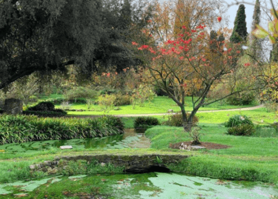 Quando Riapre Il Giardino Di Ninfa Date E Calendario Completo