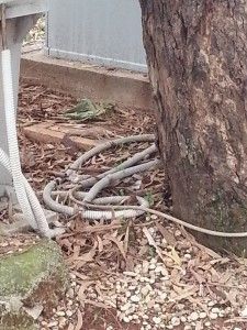 cimitero pomezia impianto elettrico