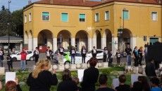 flash mob scuola pomezia (4)