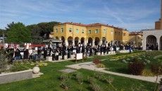 flash mob scuola pomezia (7)