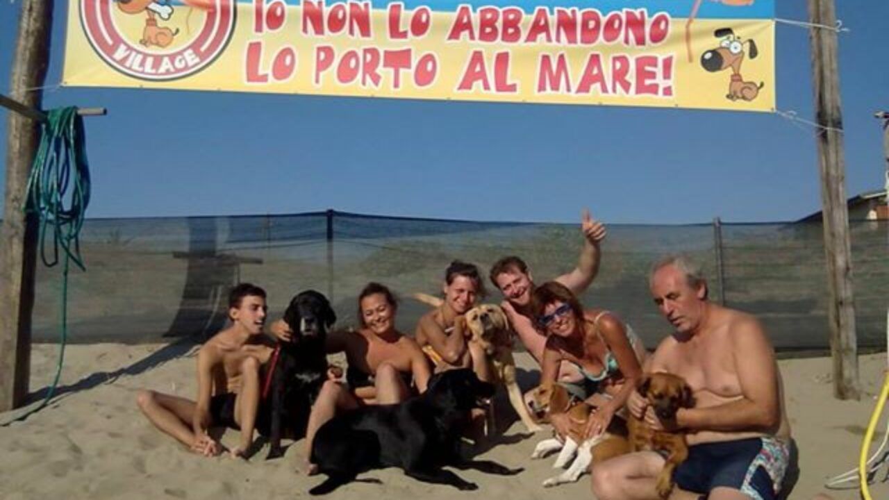 Tor San Lorenzo Riapre La Spiaggia Per Cani Dog Beach Village