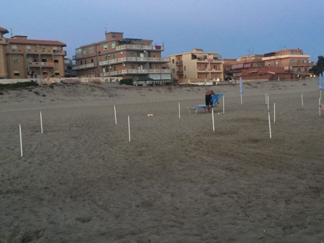 Torvaianica Spiagge Liberesolo Sulla Carta