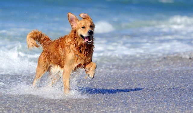 Le 6 Più Belle Spiagge A Unora Da Roma Nord Vignaclarablogit