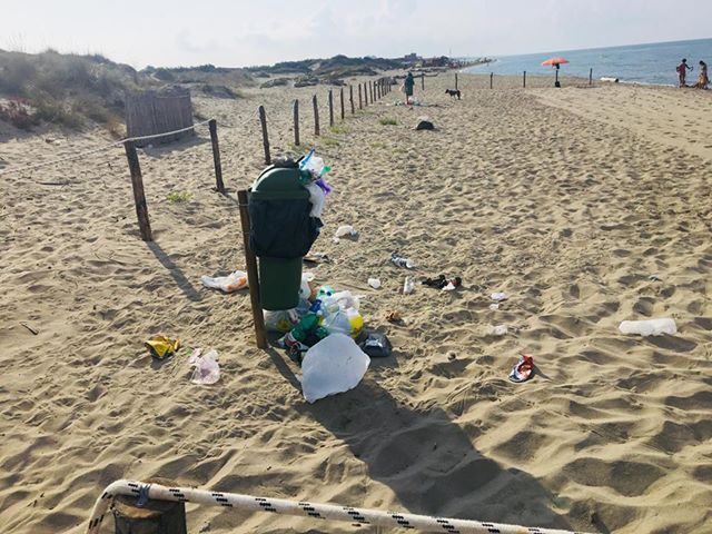 Torvaianica Spiaggia Per Cani O Maiali