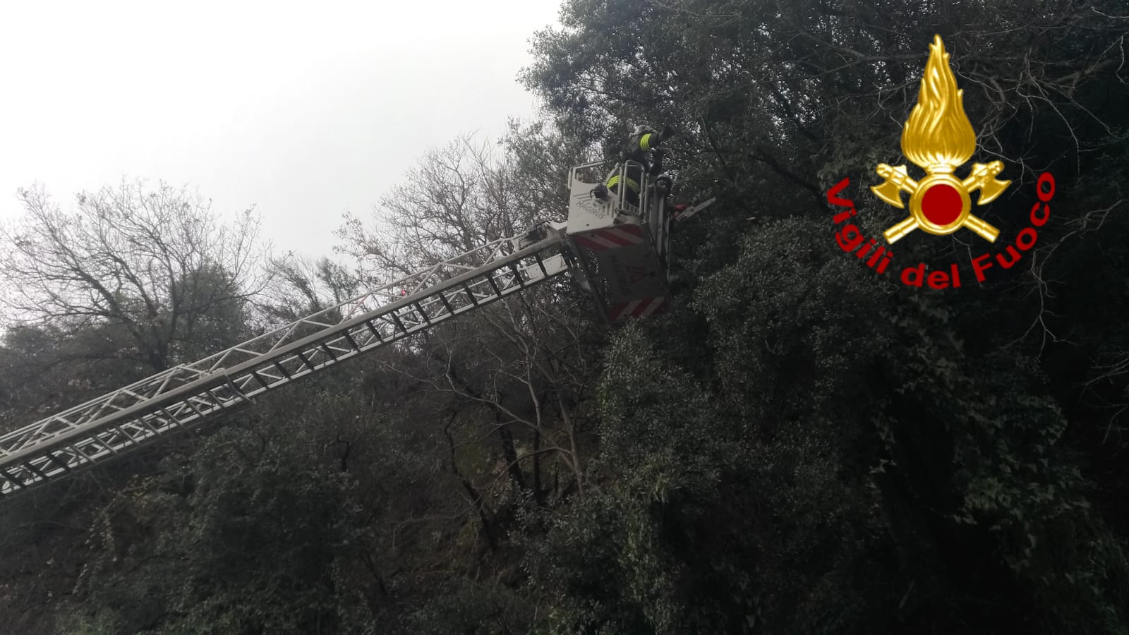 roma cade masso sulla flaminia