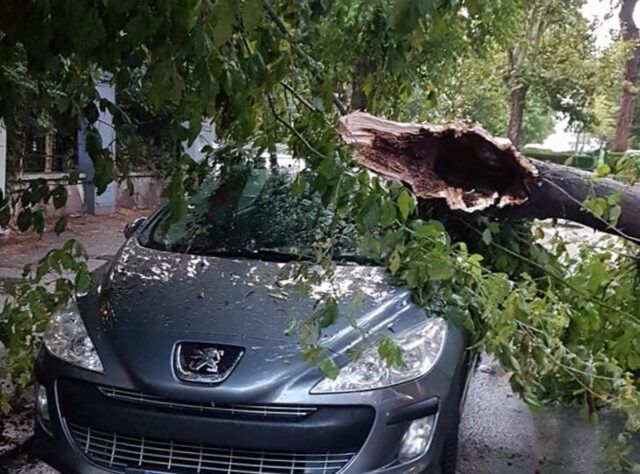 Acilia Maltempo Cadono Due Alberi Uno Distrugge Una Macchina Foto 3031