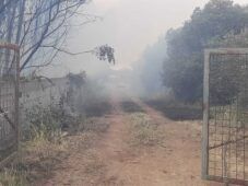 Incendio di sterpaglie ad Ardea