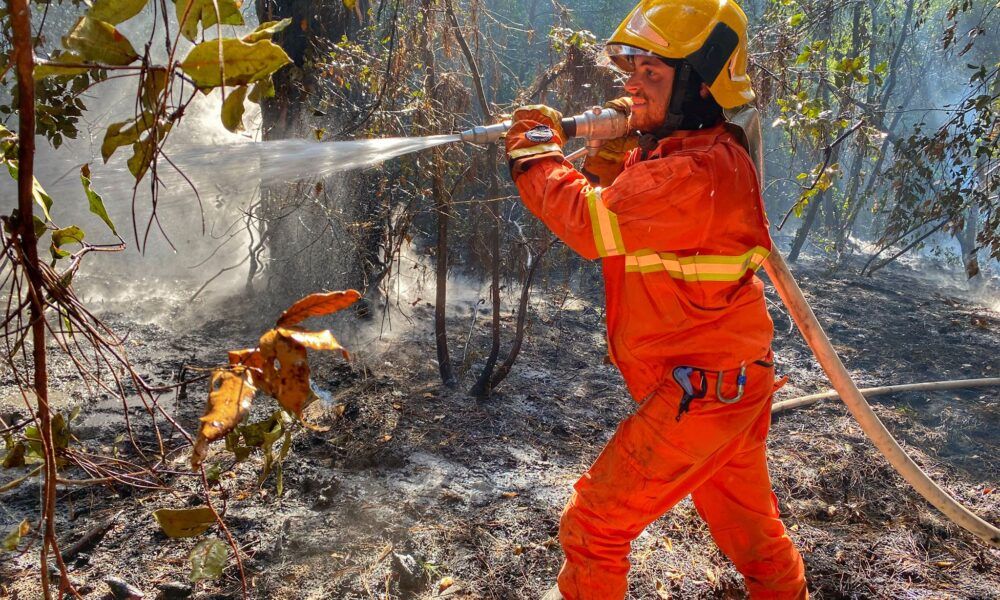 Ostia incendio pineta