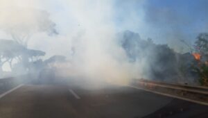 incendio Pontina