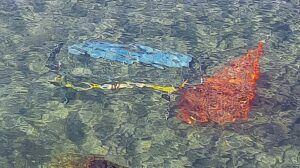 transenne in mare al pontile di ostia