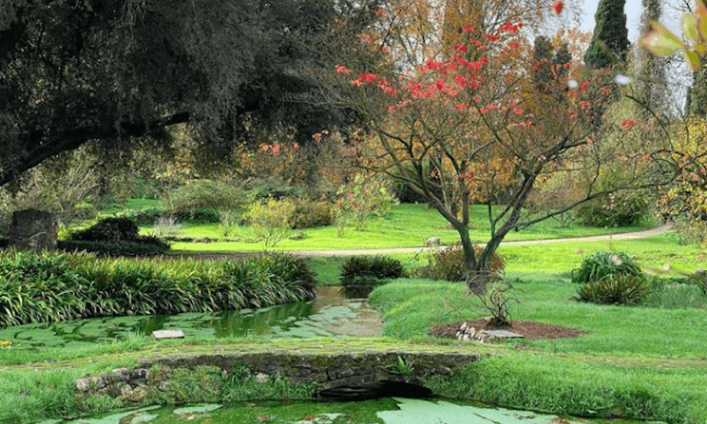 Giardino di Ninfa