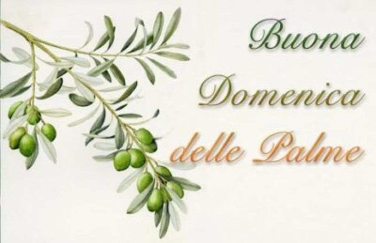 Buona domenica delle palme