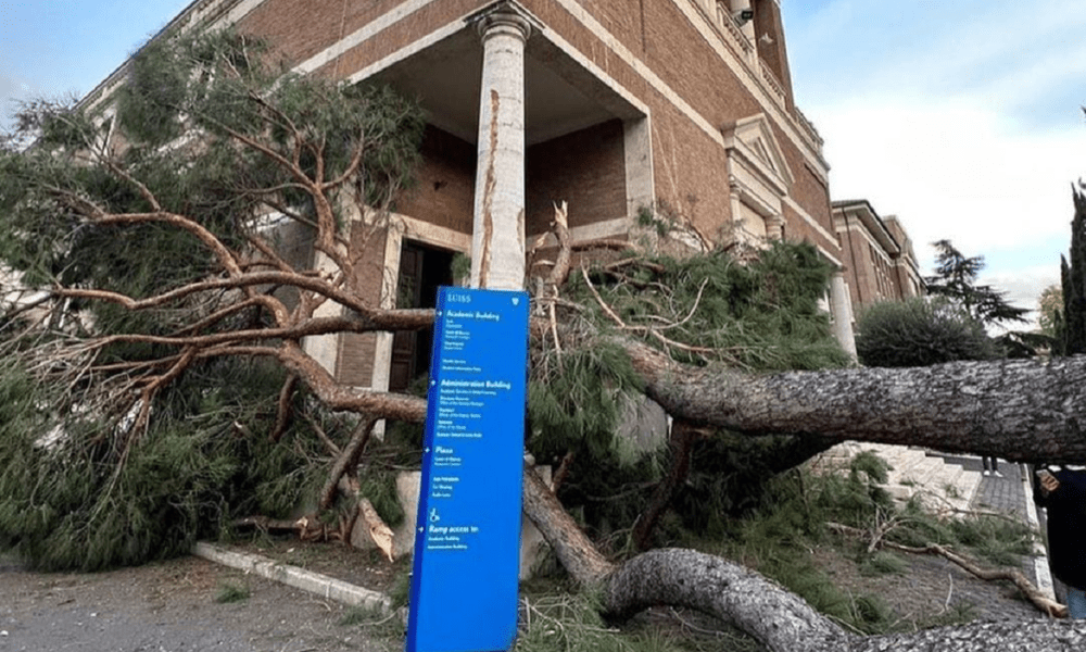 Enorme Pino caduto su un edificio della Luiss