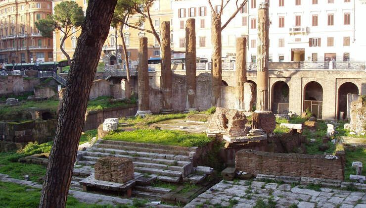 L'Area Sacra di Largo Argentina