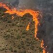 Allarme incendi a Roma e nelle aree del litorale laziale. Il direttore della Protezione Civile spiega cosa comporta questa problematica.