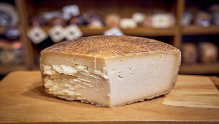 Cacio pecorino