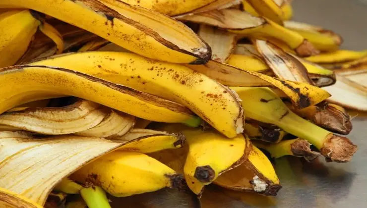 Concime con bucce di banane