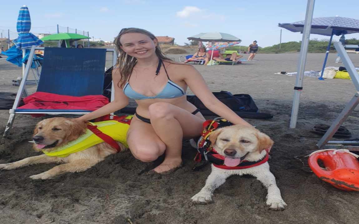 Cani eroi della sics, salvano due donne tra ieri e oggi. Si tratta di un labrador e due golden retriever in servizio presso Montalto.