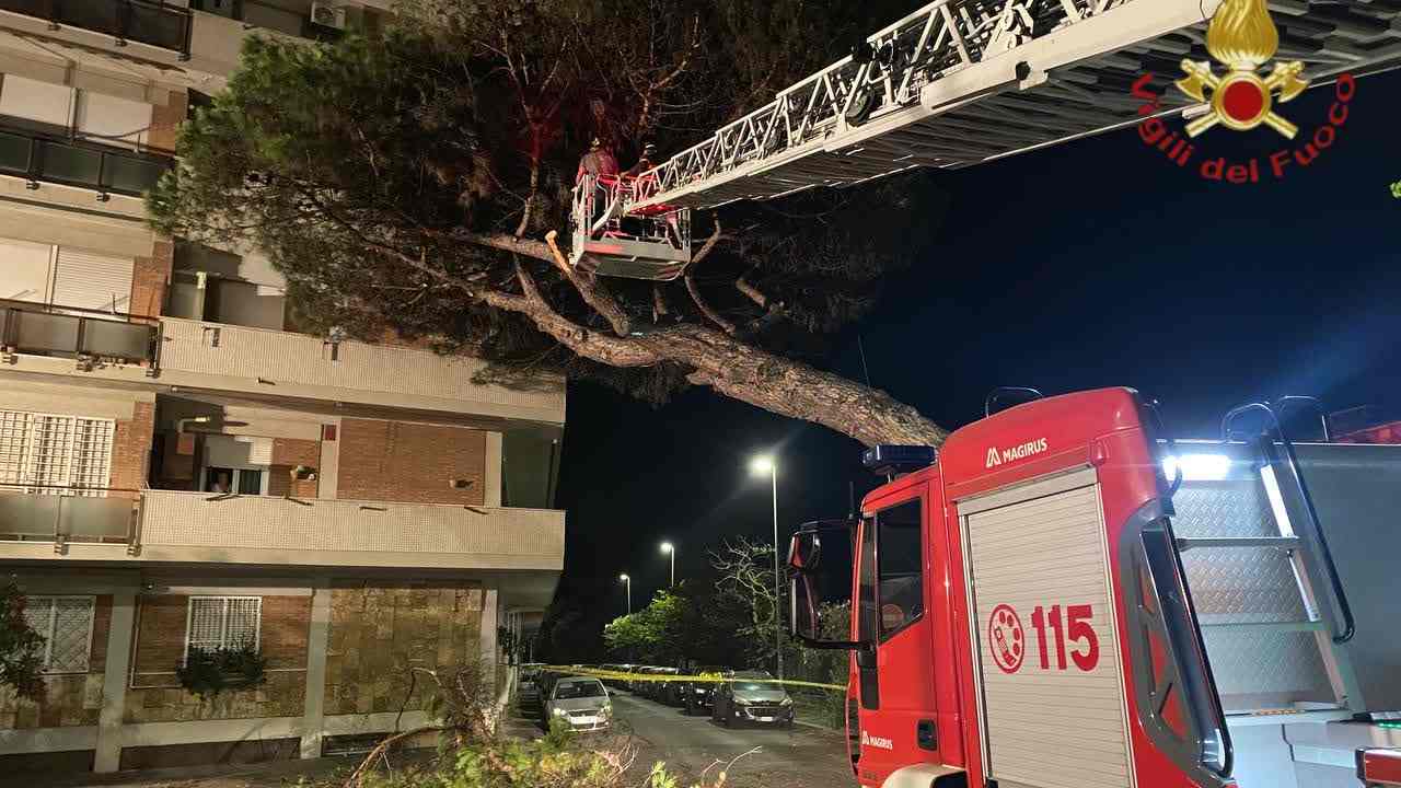 Albero crollato a Roma