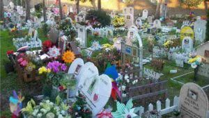 cimitero degli animali casa rosa a roma