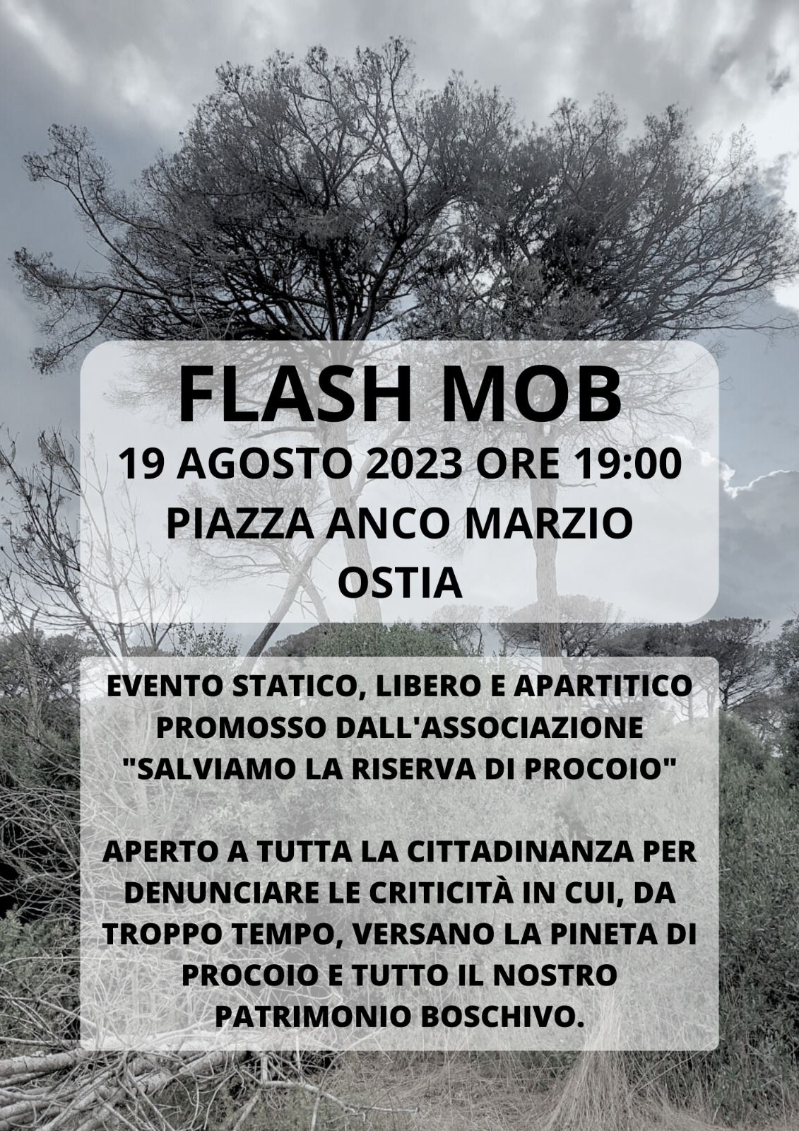 Flash mob per le pinete di Ostia