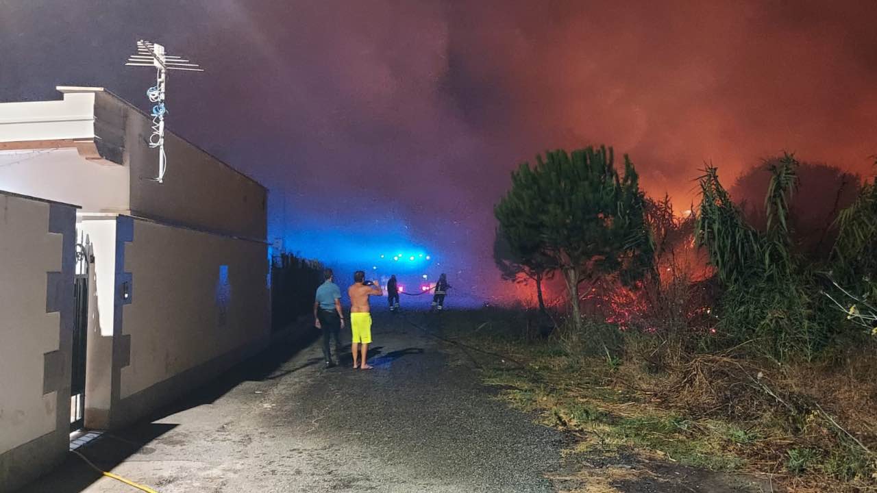 Incendio martin pescatore