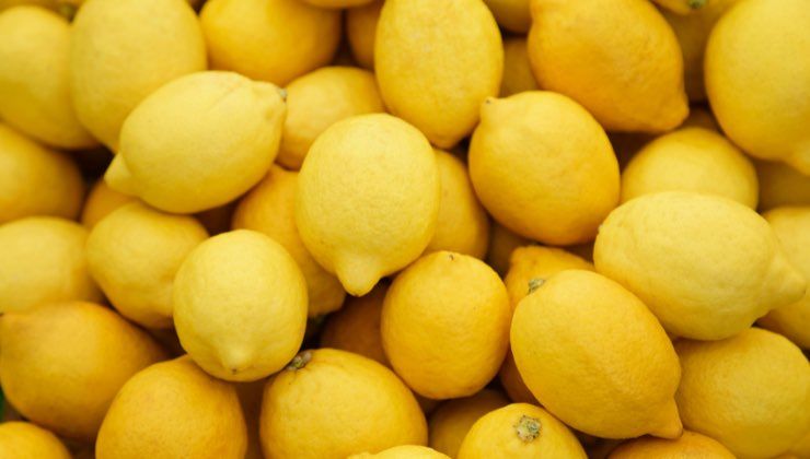 Limoni