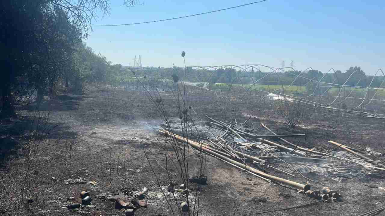 Terreno in fiamme a Lanuvio