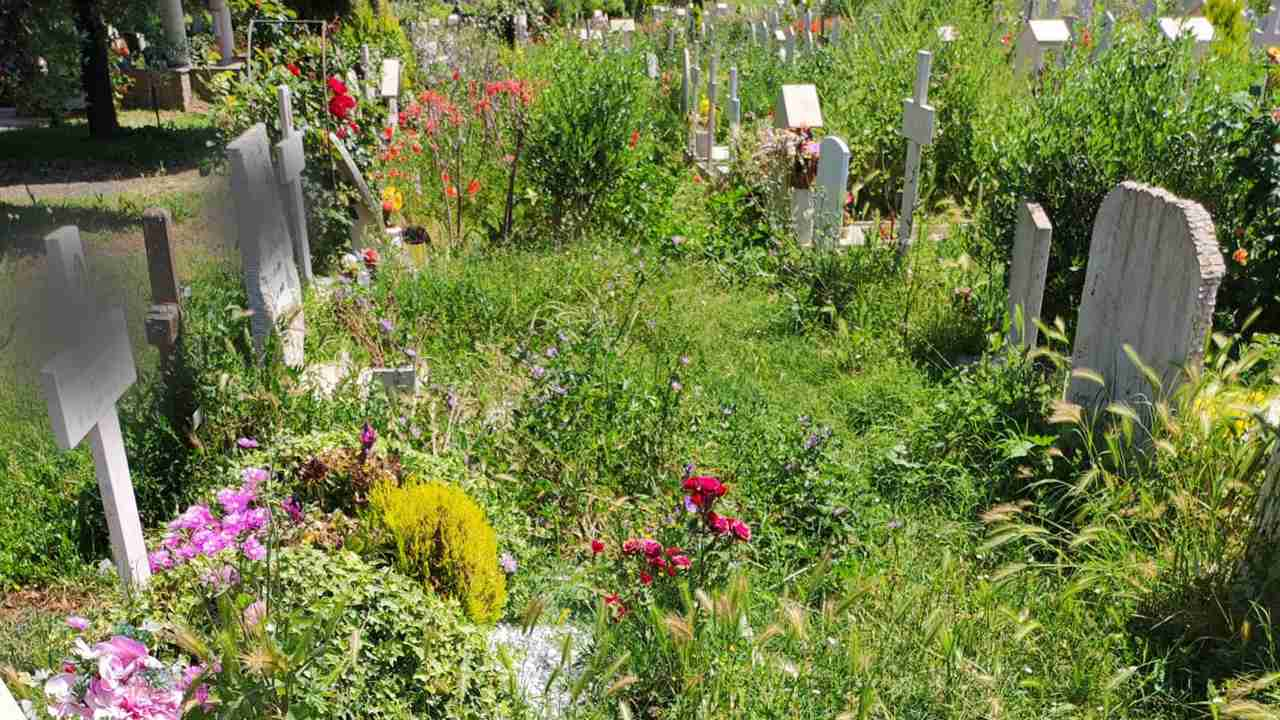 Tombe abbandonate al cimitero Laurentino