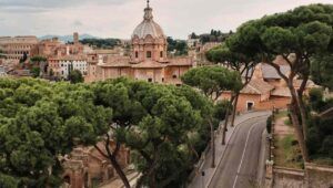 Roma invasa da alberi di pino