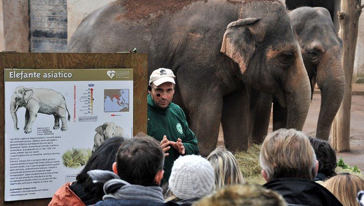 Cosa fare con i bambini a Roma