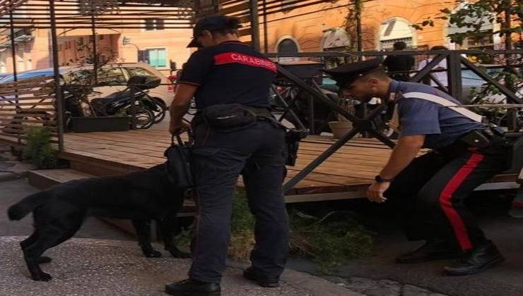 Alcune attività di controllo dei carabinieri hanno riguardato furti, droga e sanzioni presso market non in regola.