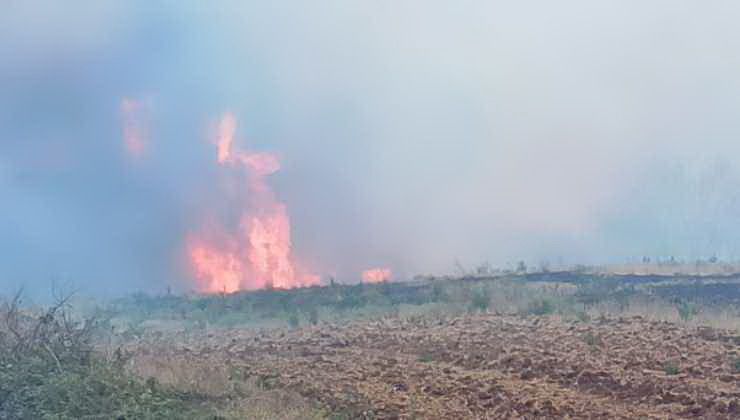 incendio pomezia