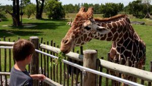 Bioparco di Roma assunzioni