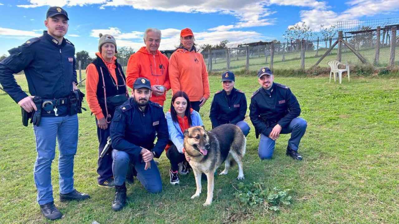 23.11.2023 PORTA MAGGIORE Progetto adozione cane con difficoltà di affido