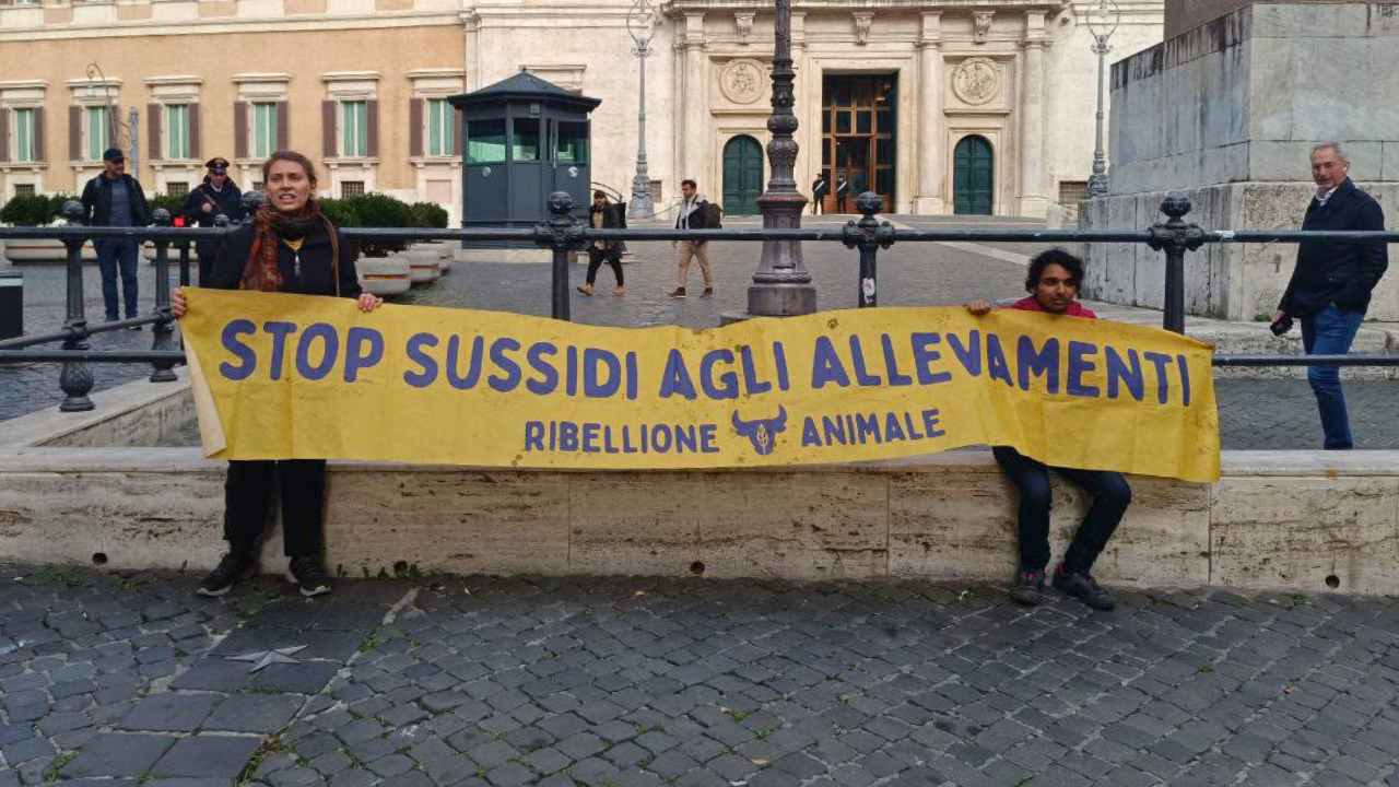 Animaliste sotto Montecitorio