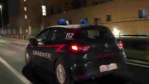 Carabinieri, furto sede associazione animalista