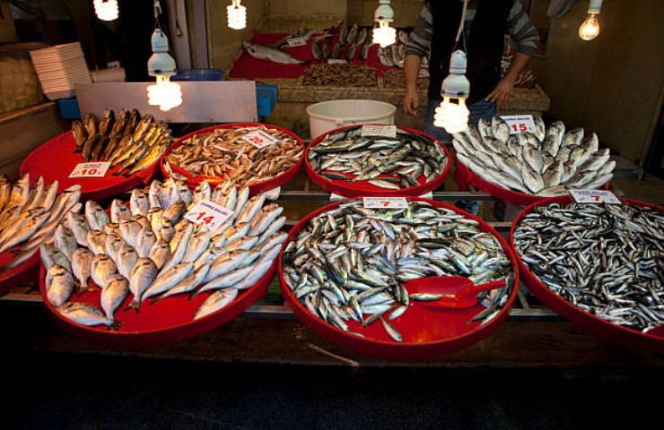 mercato ittico più grande d'italia, car