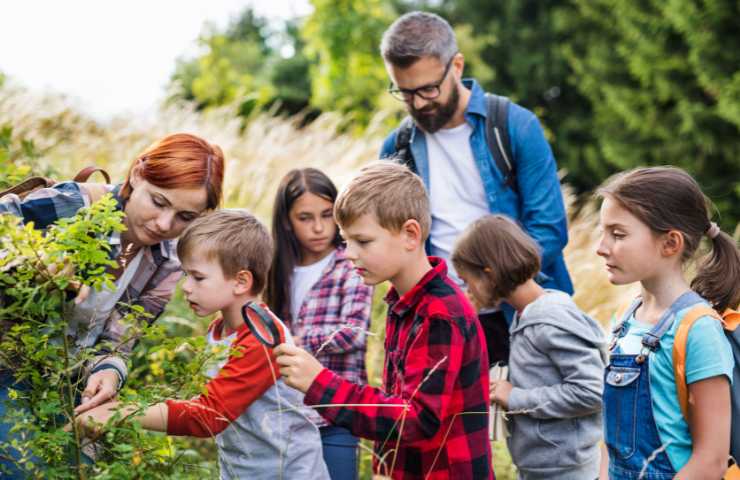 Gita scolastica nel bosco