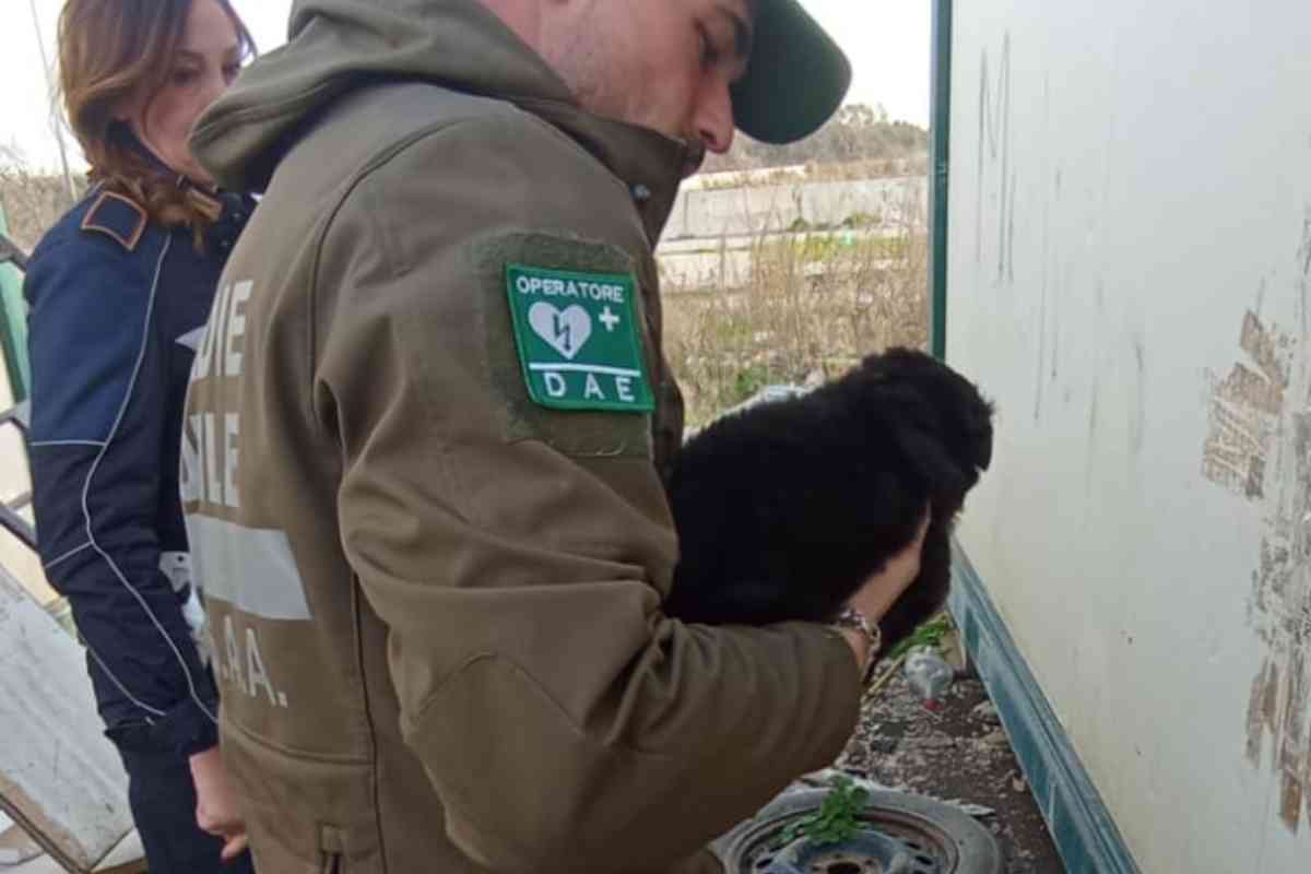 Volontari salvano il cucciolo di cane al campo rom di Castel Romano