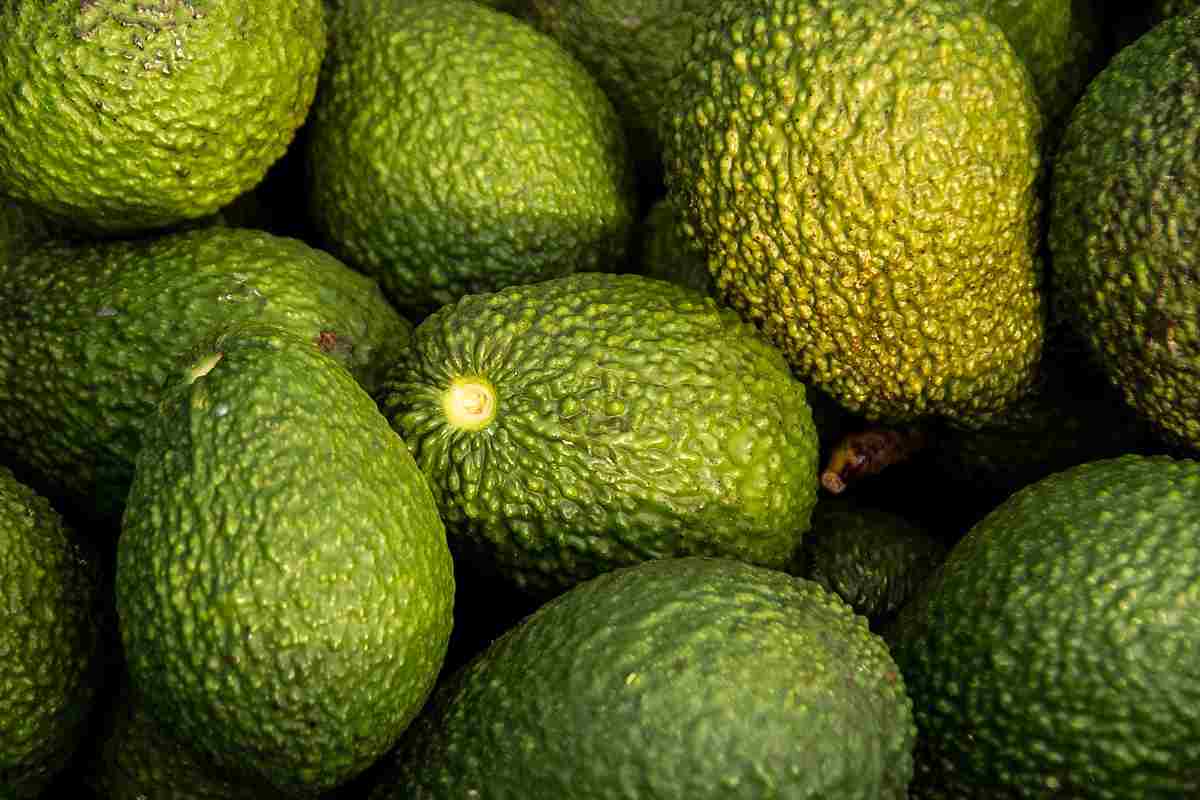 Avocado perchè annerisce e come impedirlo