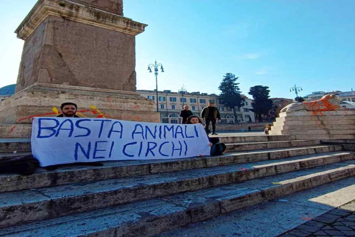 Due attivisti hanno imbrattato le statue della fontana dei due leoni a piazza del Popolo per chiedere al Governo una presa di posizione sulla tutela degli animali e lo stop ai circhi – www.IlCorrieredellacittà.com