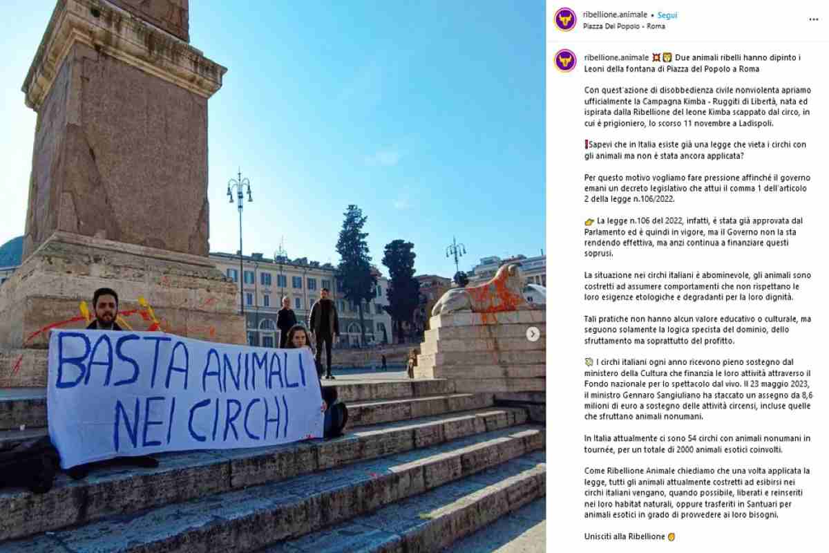 Due attivisti hanno imbrattato le statue della fontana dei due leoni a piazza del Popolo per chiedere al Governo una presa di posizione sulla tutela degli animali e lo stop ai circhi – www.IlCorrieredellacittà.com