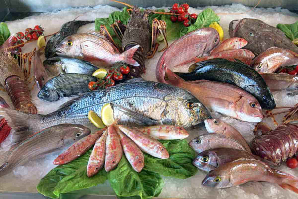 Quante volte mangiare pesce in settimana