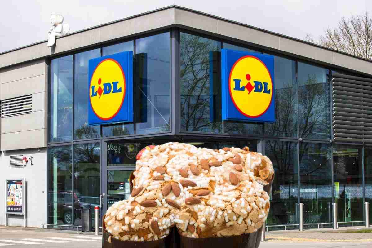 Colomba lidl