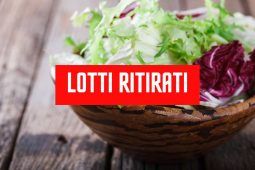 Lotti Insalata ritirata