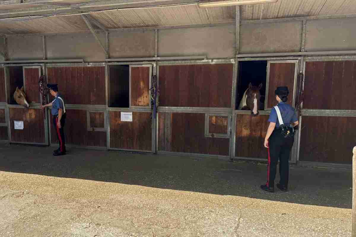 Carabinieri al maneggio di Roma