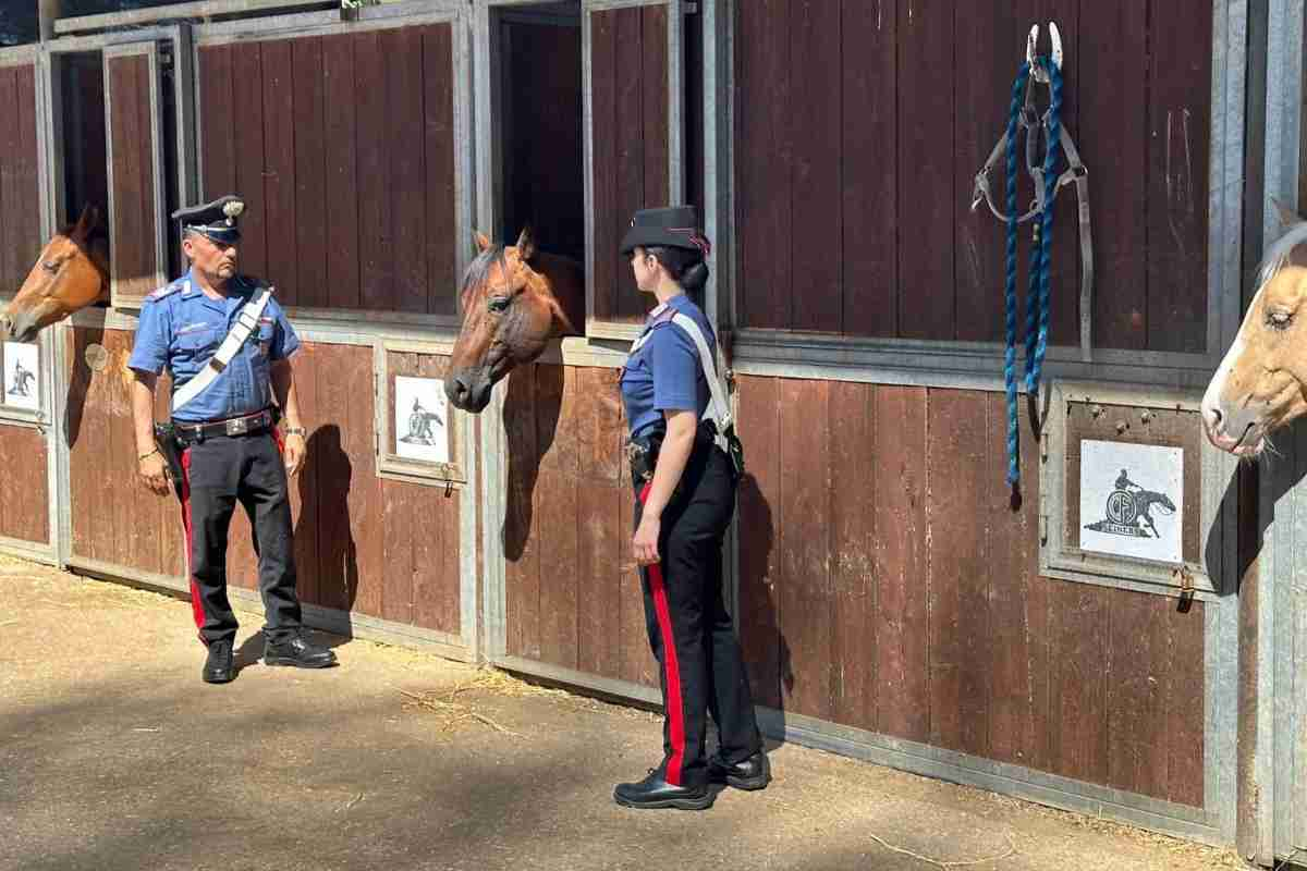 Carabinieri in un maneggio di Roma