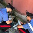 Carabinieri trovano la cocaina a Roma